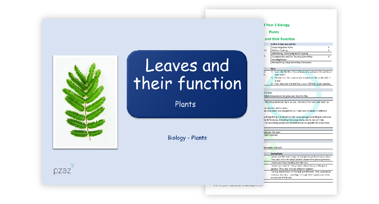 leaves-lesson-plan-science-year-3