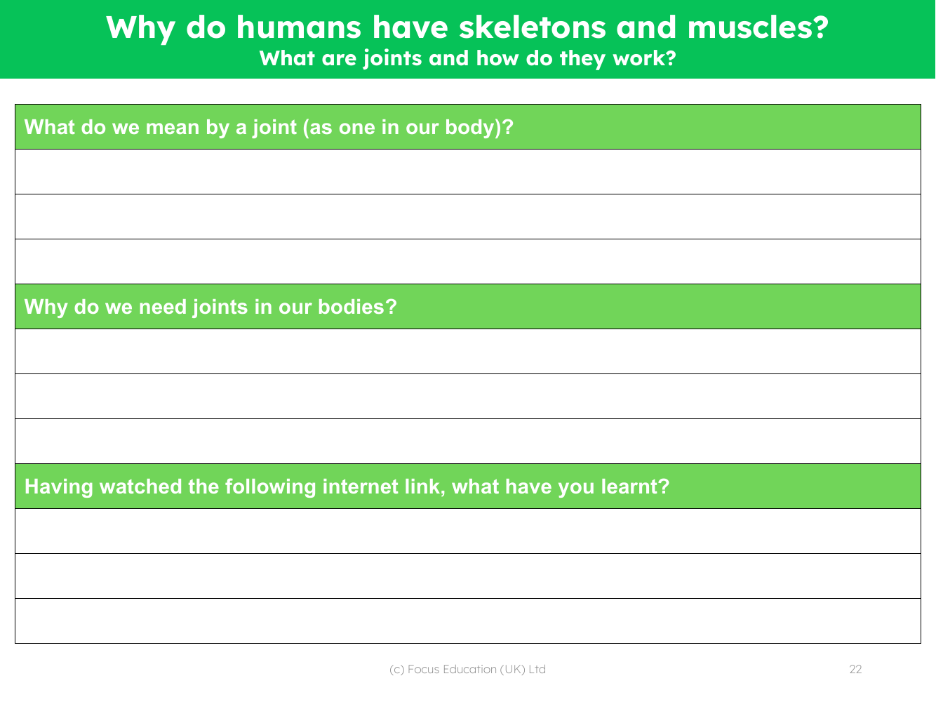 What are joints and how do they work? - Worksheet