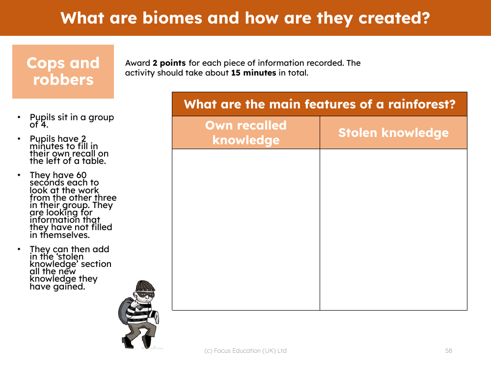 Cops and robbers - What are the main features of a rainforest?