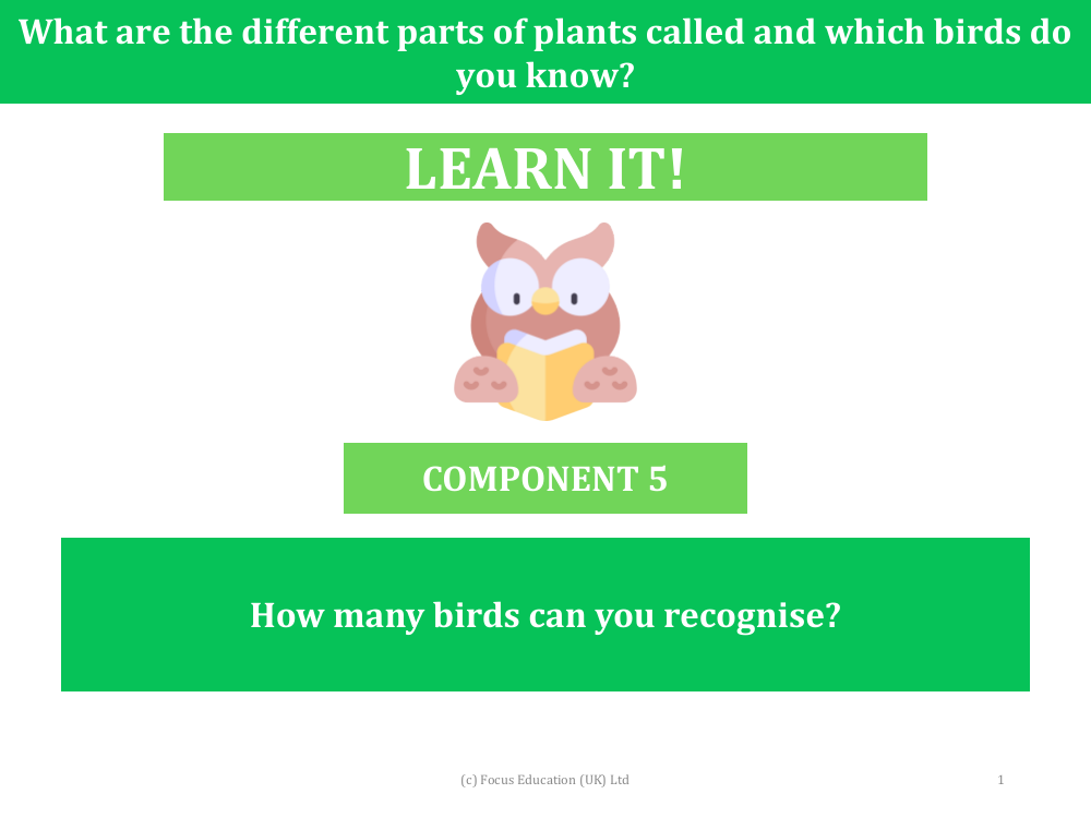 How many birds can you recognise? - Presentation