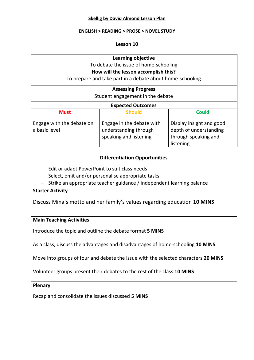 Skellig Lesson 10: Mysterious Mina - Lesson Plan