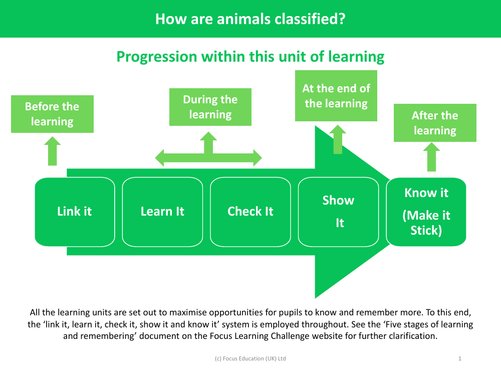 Progression pedagogy - How are Animals Classified - Year 1