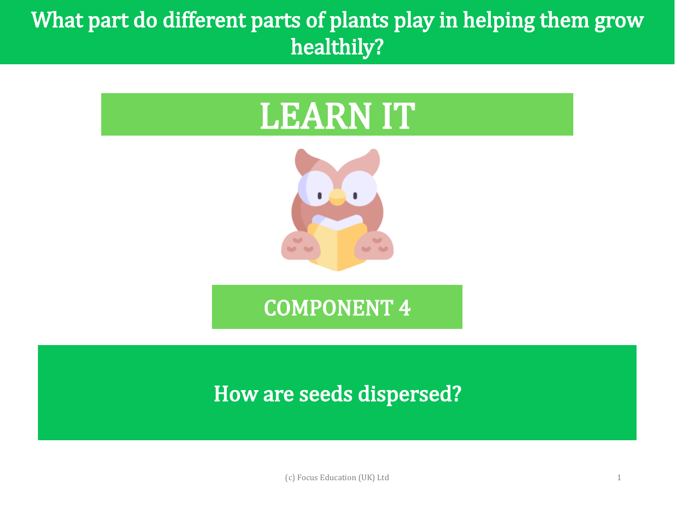 How are seeds dispersed? - presentation