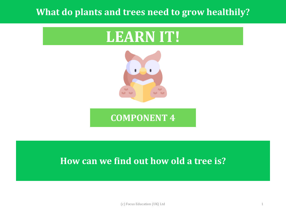 How can we find out how old a tree is? - Presentation