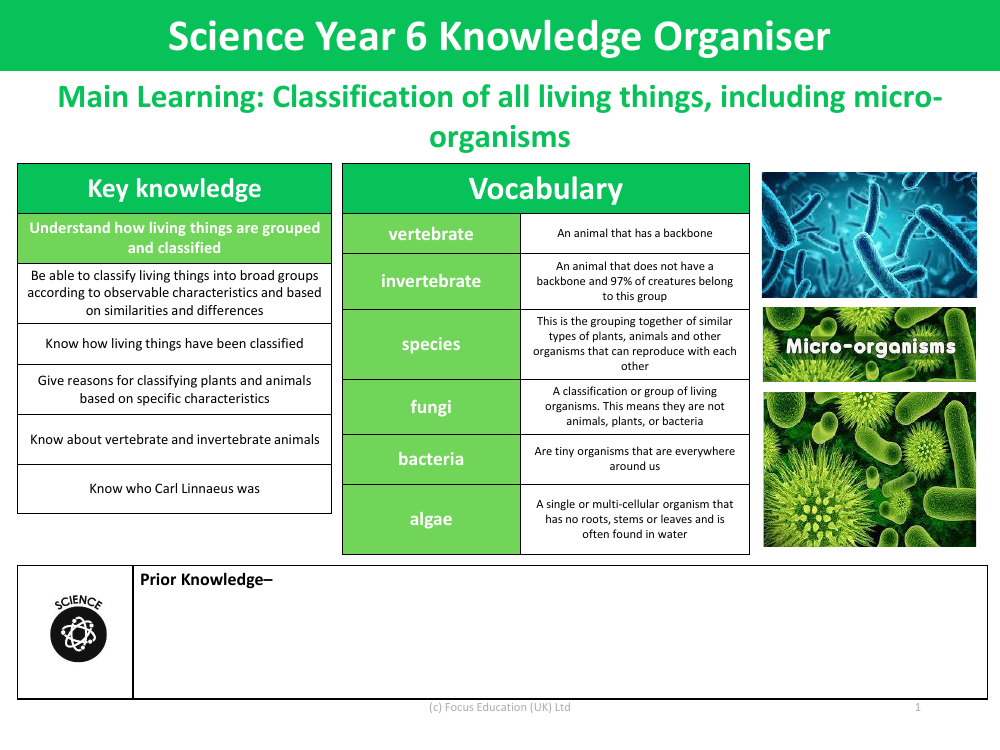 Knowledge organiser - Grouping Living Things - Year 6