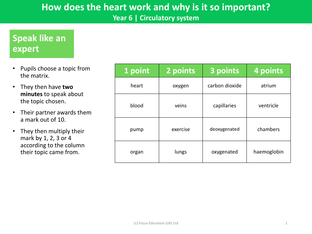 Speak like an expert - Circulatory system