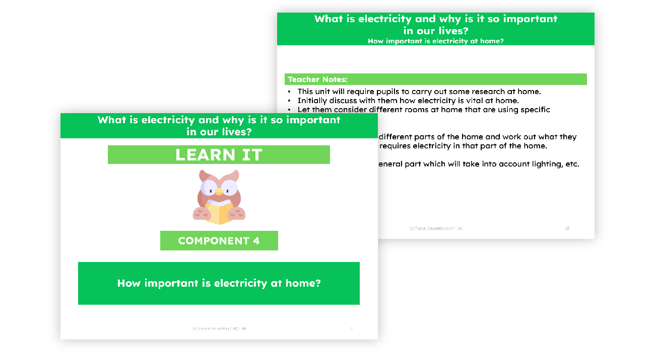 4. How important is electricity at home?