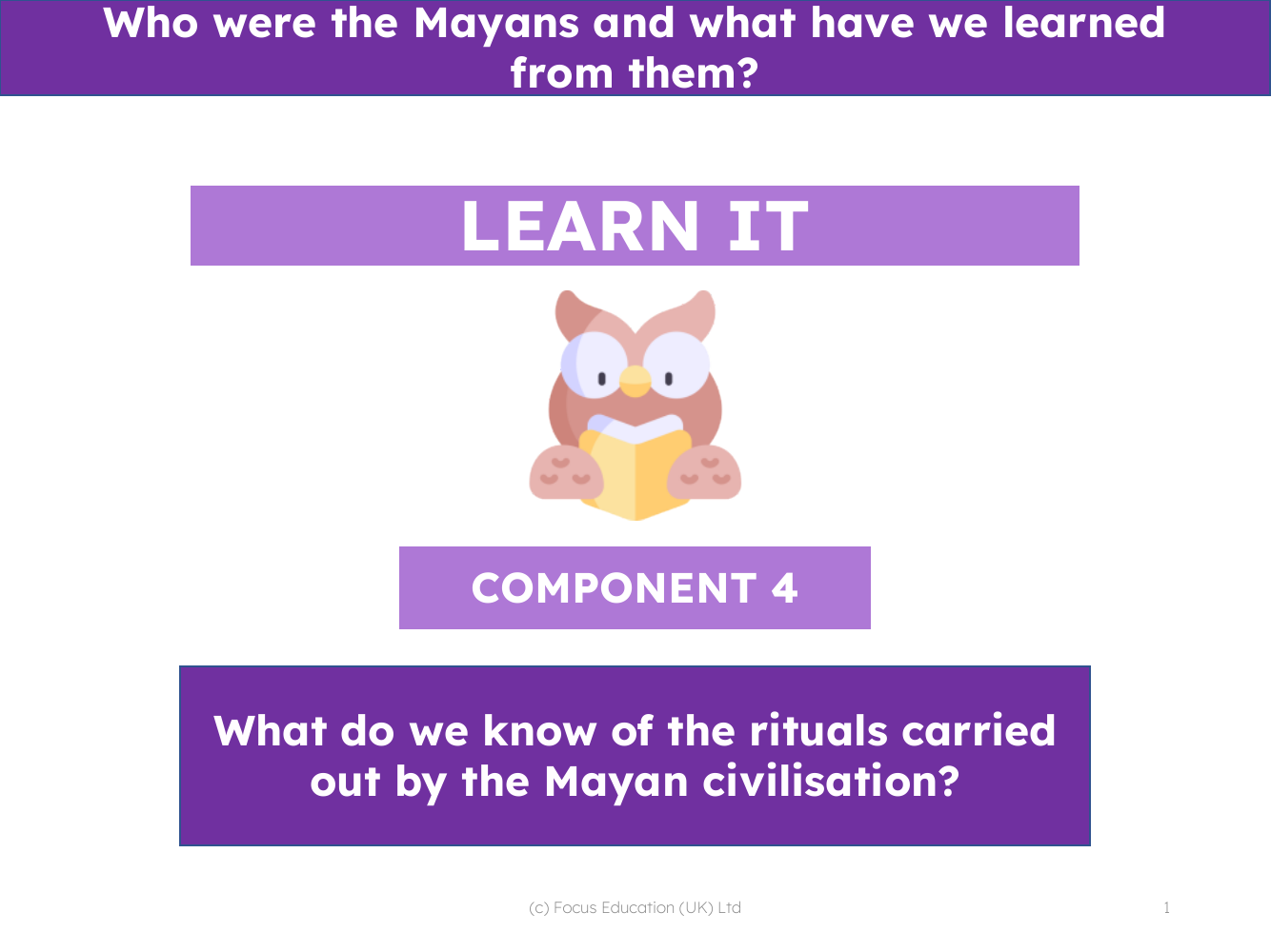 What do we know of the rituals carried out by the Mayan civilisation? - Presentation