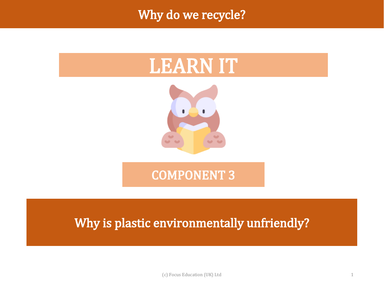 Why is plastic environmentally unfriendly? - Presentation