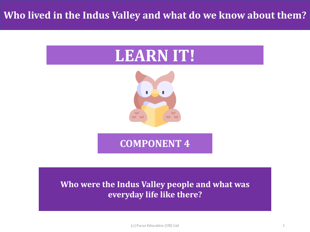 Who were the Indus Valley people and what was everyday life like there? - Presentation