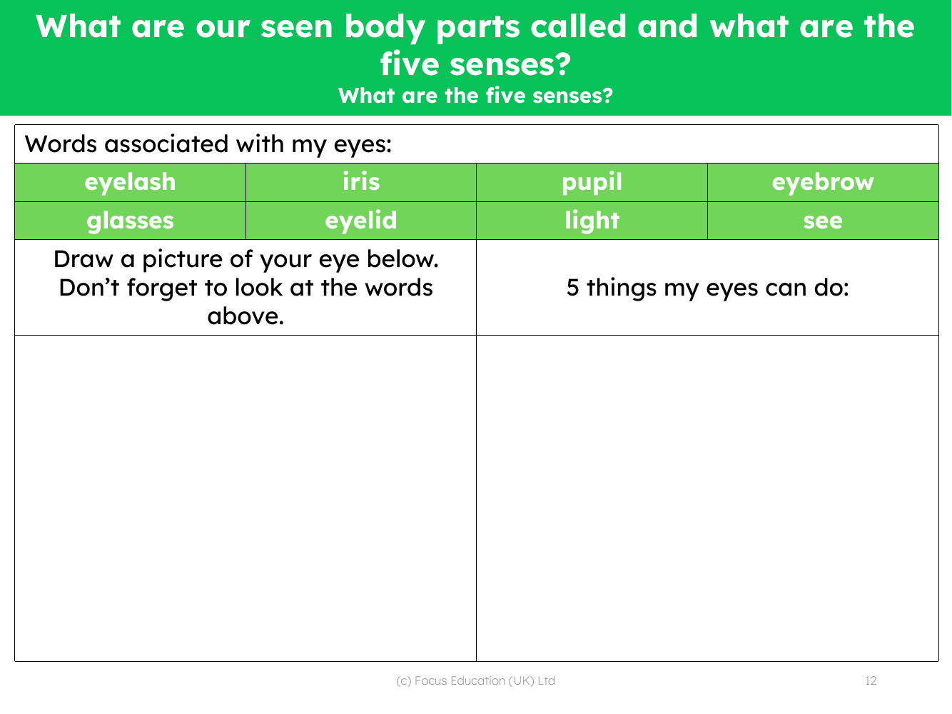 What are the five senses? - What can my eyes do? - Worksheet