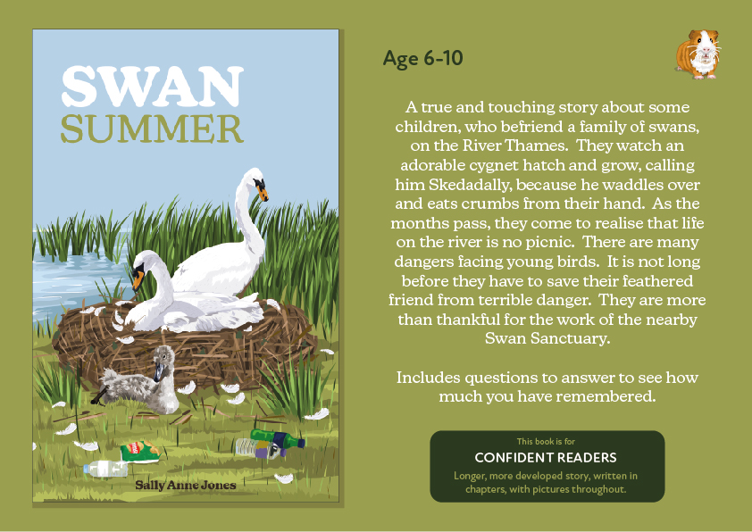 Swan Summer - Teacher Notes