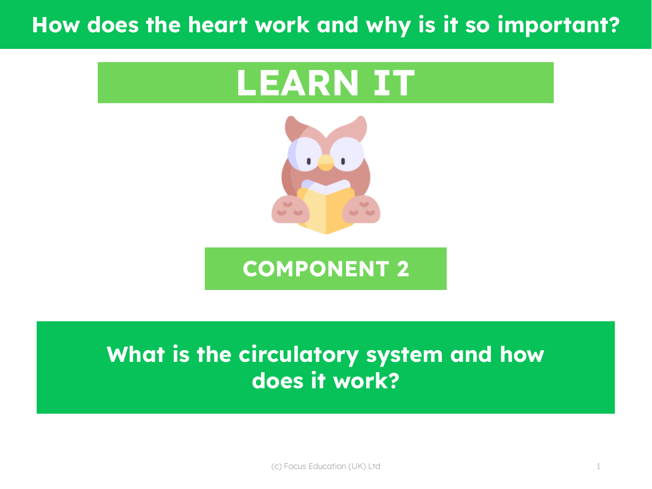 What is the circulatory system and how does it work?  - Presentation