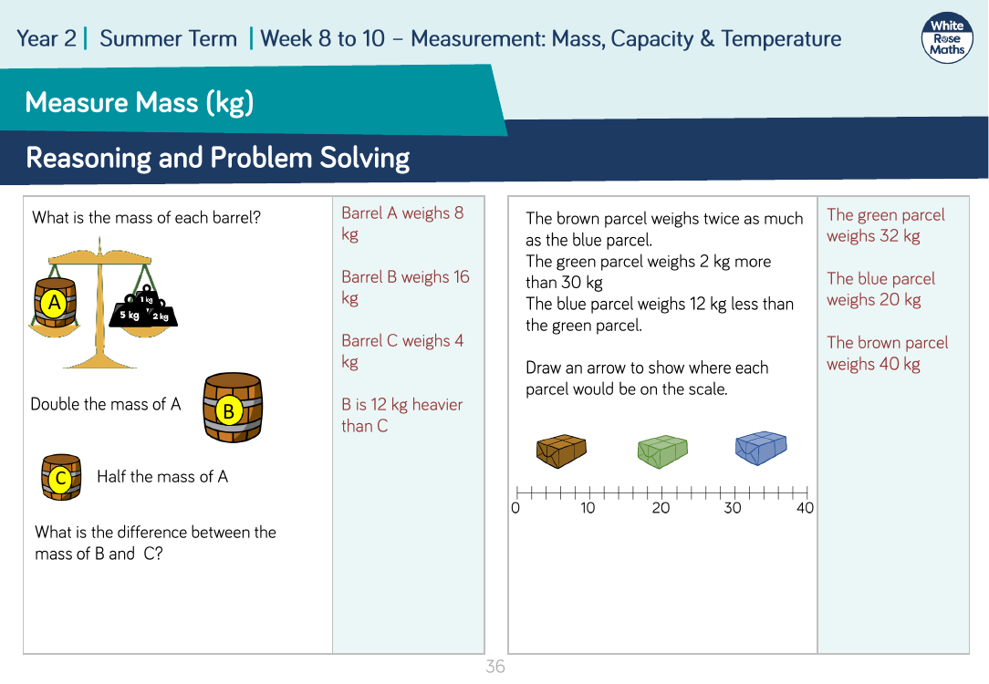 Measure Mass (kg): Reasoning and Problem Solving