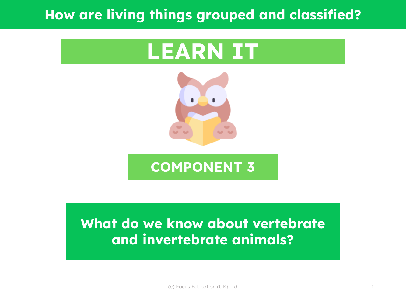 What do we know about vertebrate and invertebrate animals? - Presentation