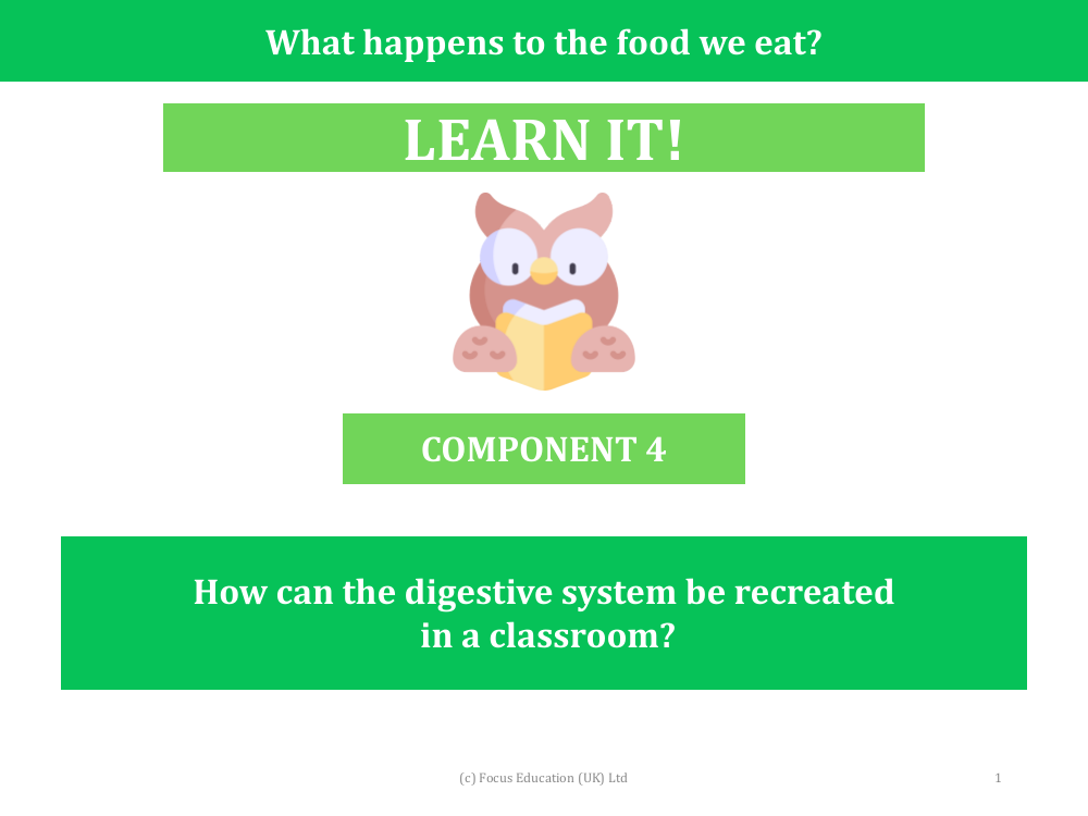 How can the digestive system be recreated in a classroom? - Presentation