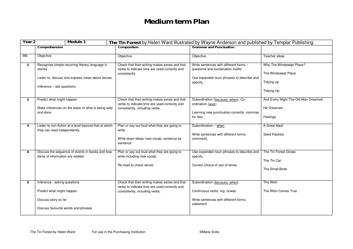 Medium Term Plan