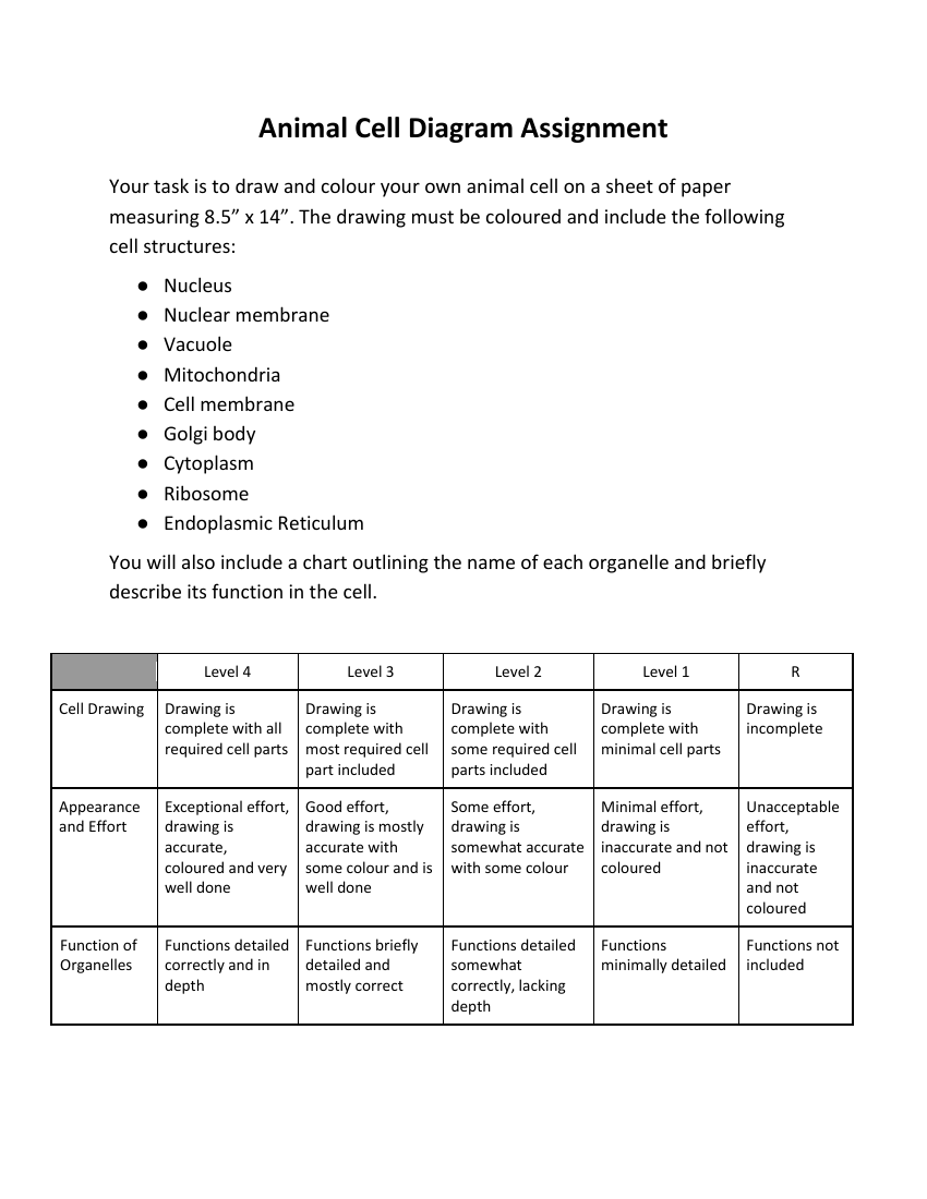 Animal Cells - Diagram Assignment