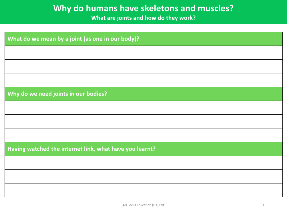 What are joints and how do they work? - Worksheet