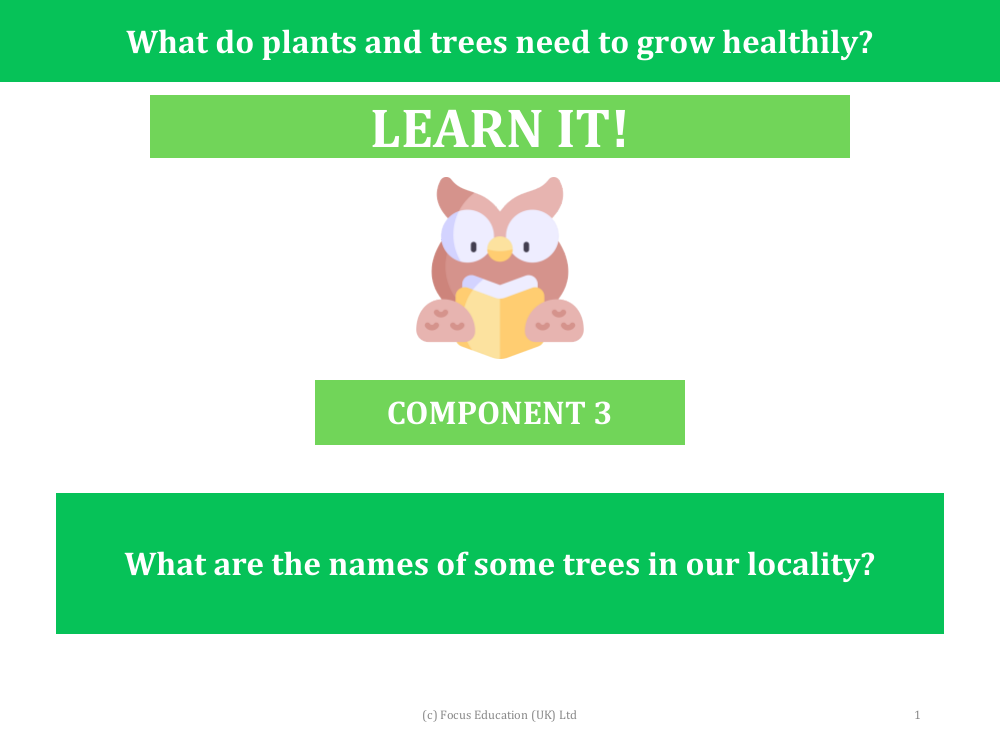 What are the names of some trees in our locality? - Presentation