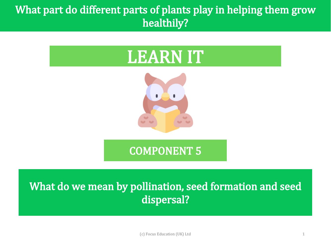 What do we mean by pollination, seed formation and seed dispersal? - presentation