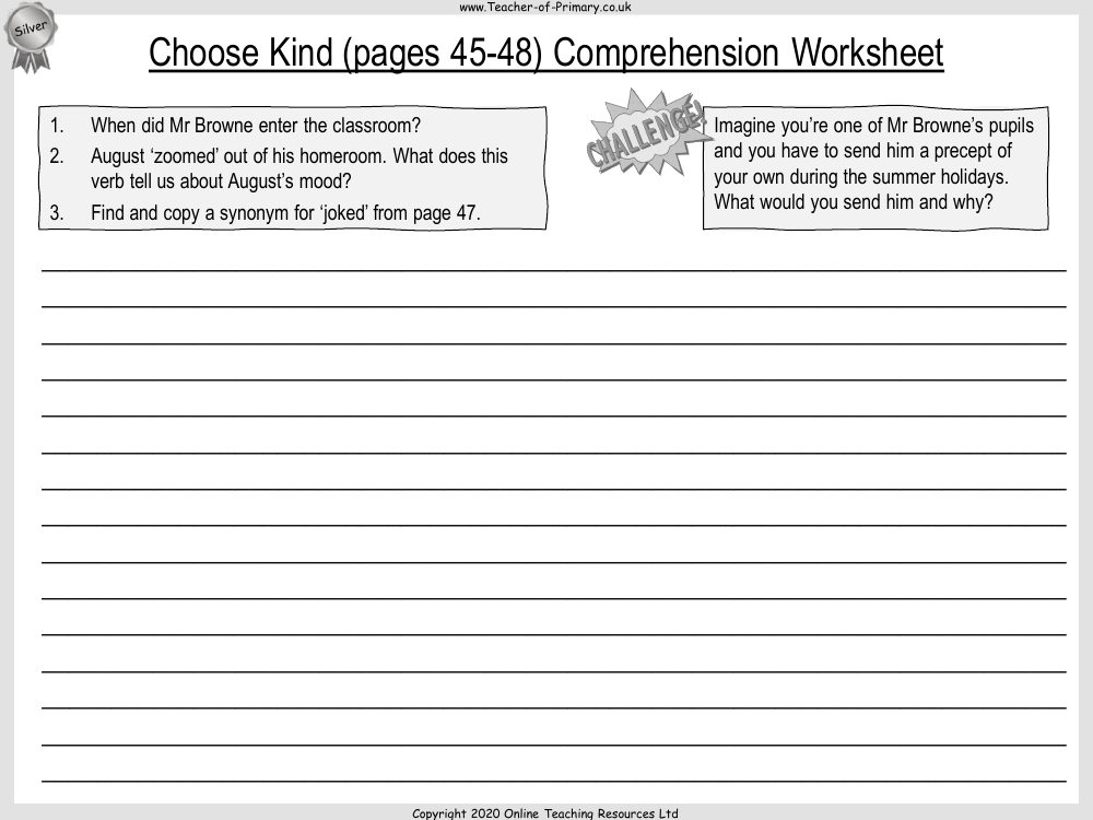 Wonder Lesson 14: Choose Kind - Comprehension Worksheet 2