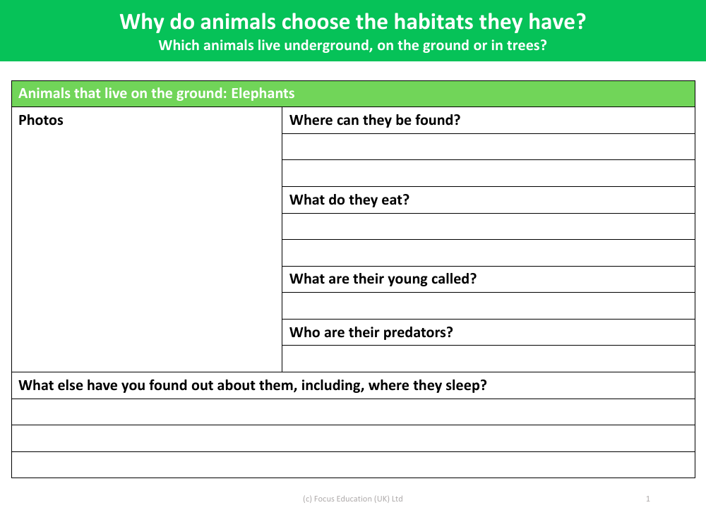 Elephants fact file  - Worksheet