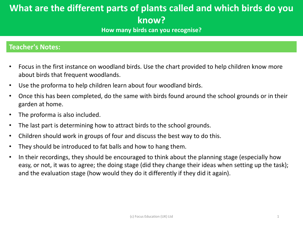 How many birds can you recognise? - Teacher's Notes