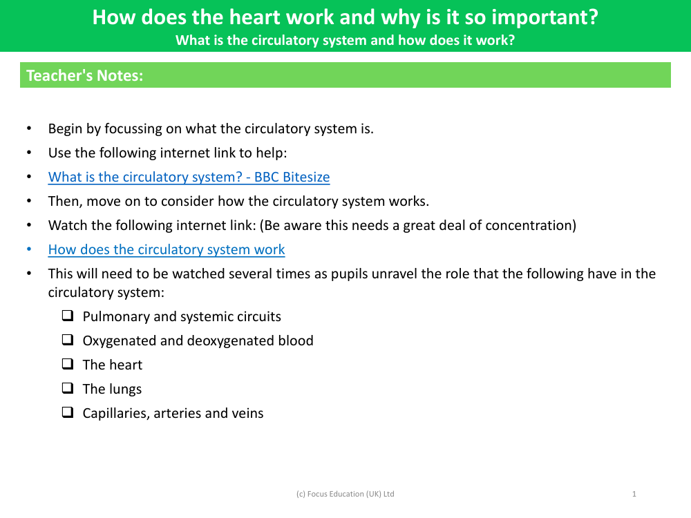 What is the circulatory system and how does it work?  - Teacher notes