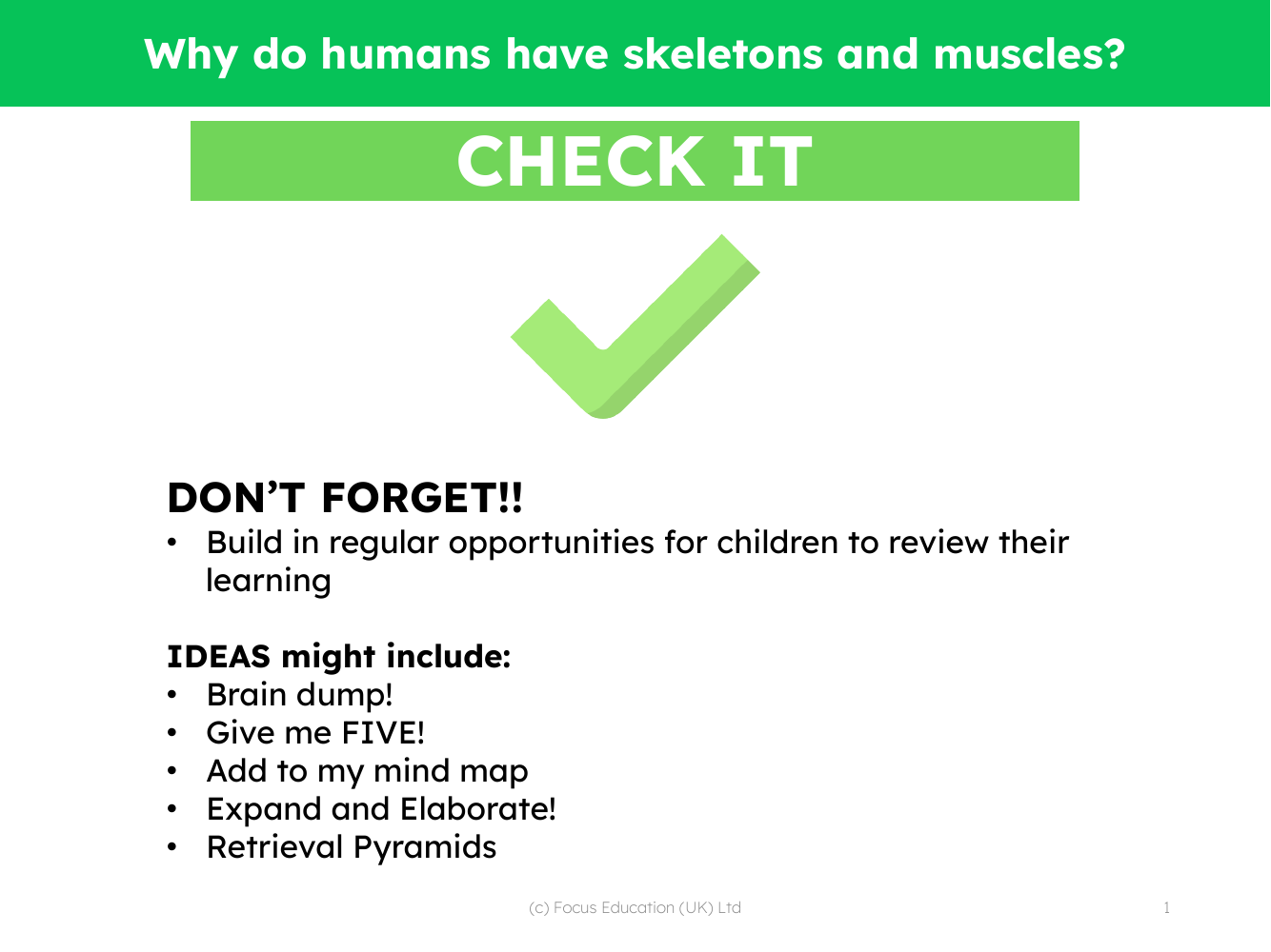 Check it! - Skeletons and Muscles - 2nd Grade