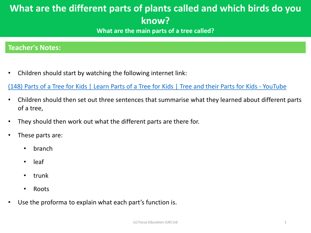 What are the main parts of a tree called? - Teacher's Notes