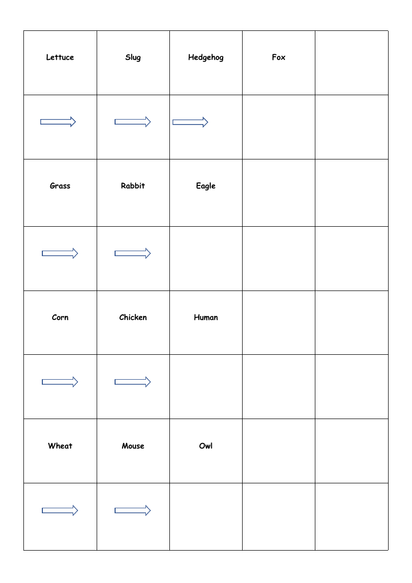 Animal Food - Food Chain Cards