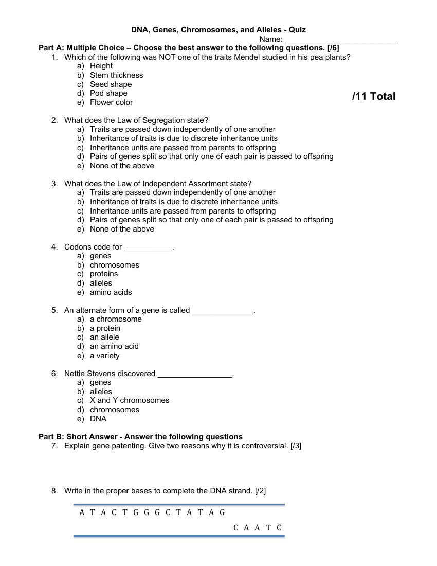 DNA, Genes, Chromosomes, and Alleles - Quiz