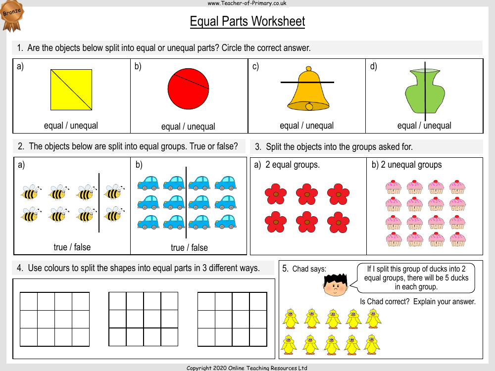 Equal Parts - Worksheet