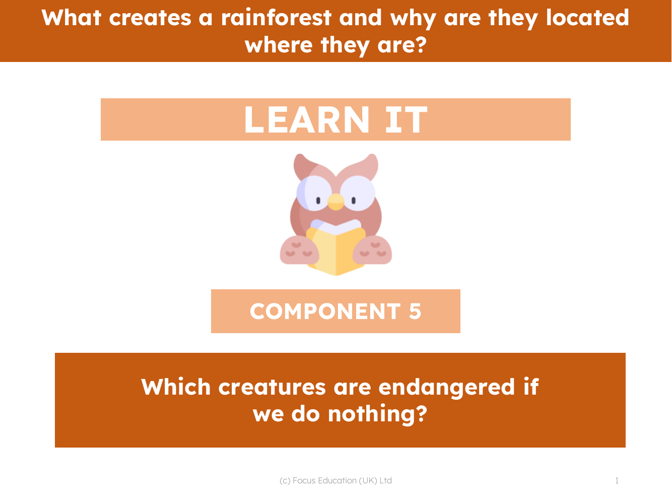 Which creatures are endangered if we do nothing?  - Presentation