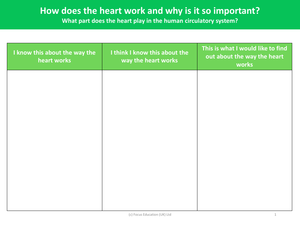 How the heart works - What I know - Worksheet