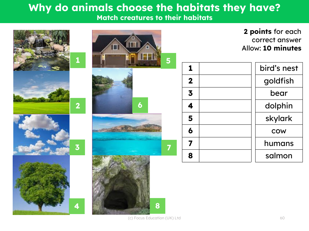 Picture match - Animal habitats