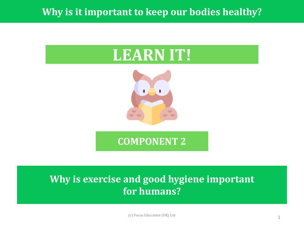 Why is exercise and good hygiene important for humans? - Presentation