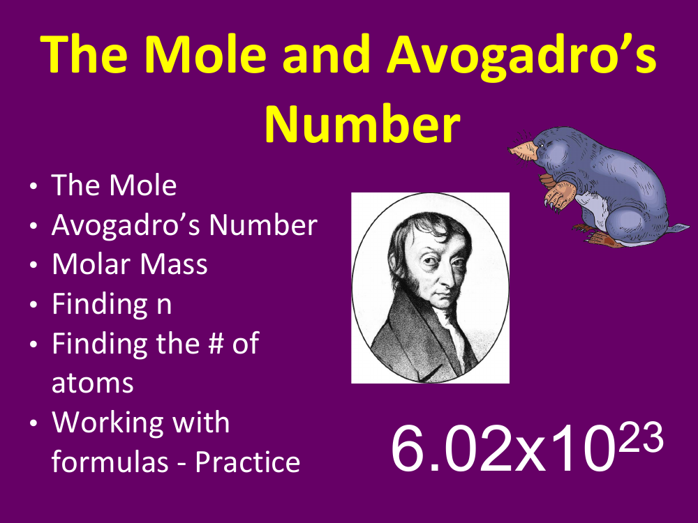 The Mole - Student Presentation