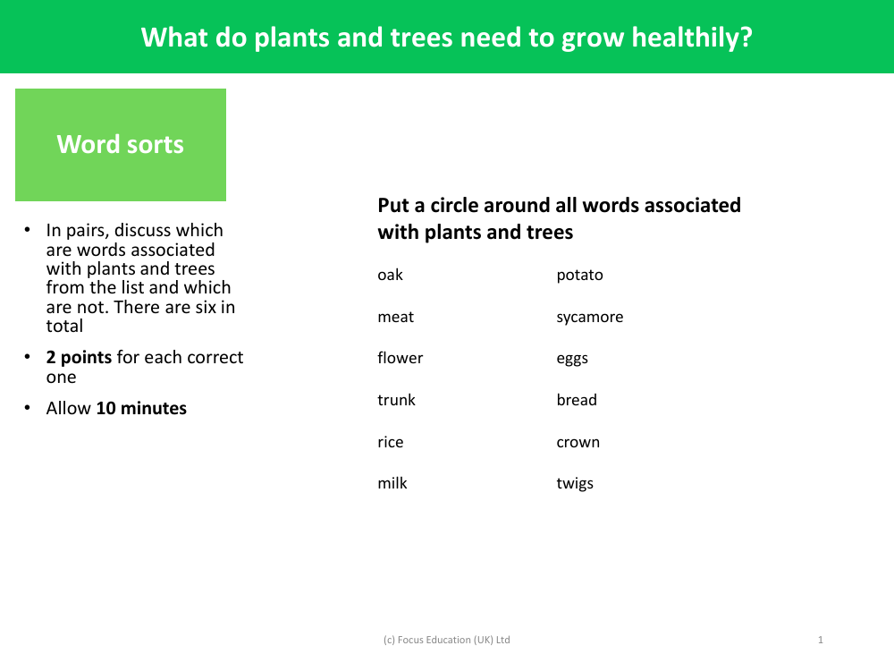 Word Sorts - Plants - Year 2