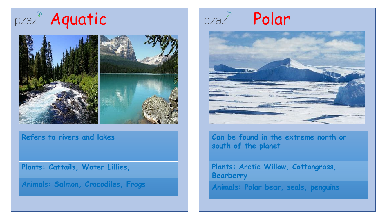 Food Chains - Comprehension cards