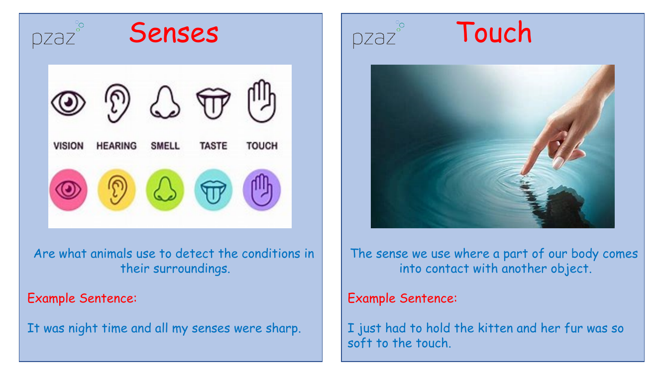 Senses - Keywords