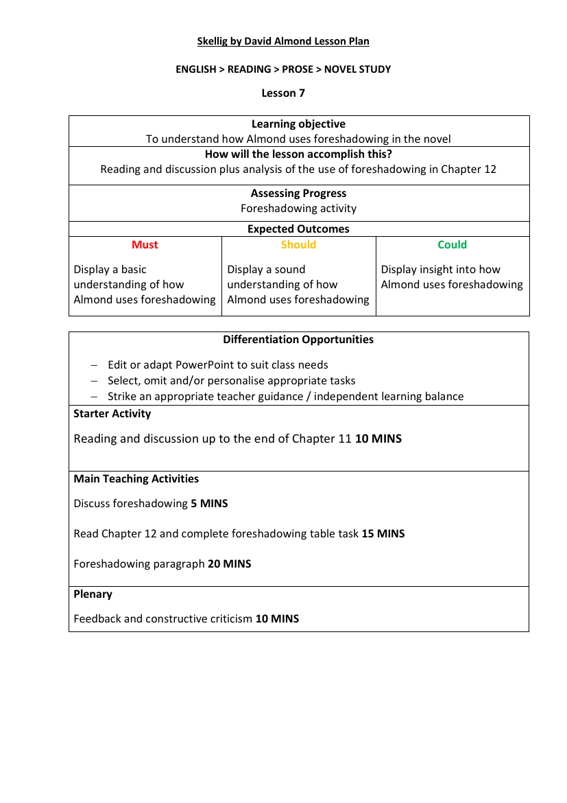 Skellig Lesson 7: Mysterious Girl - Lesson Plan