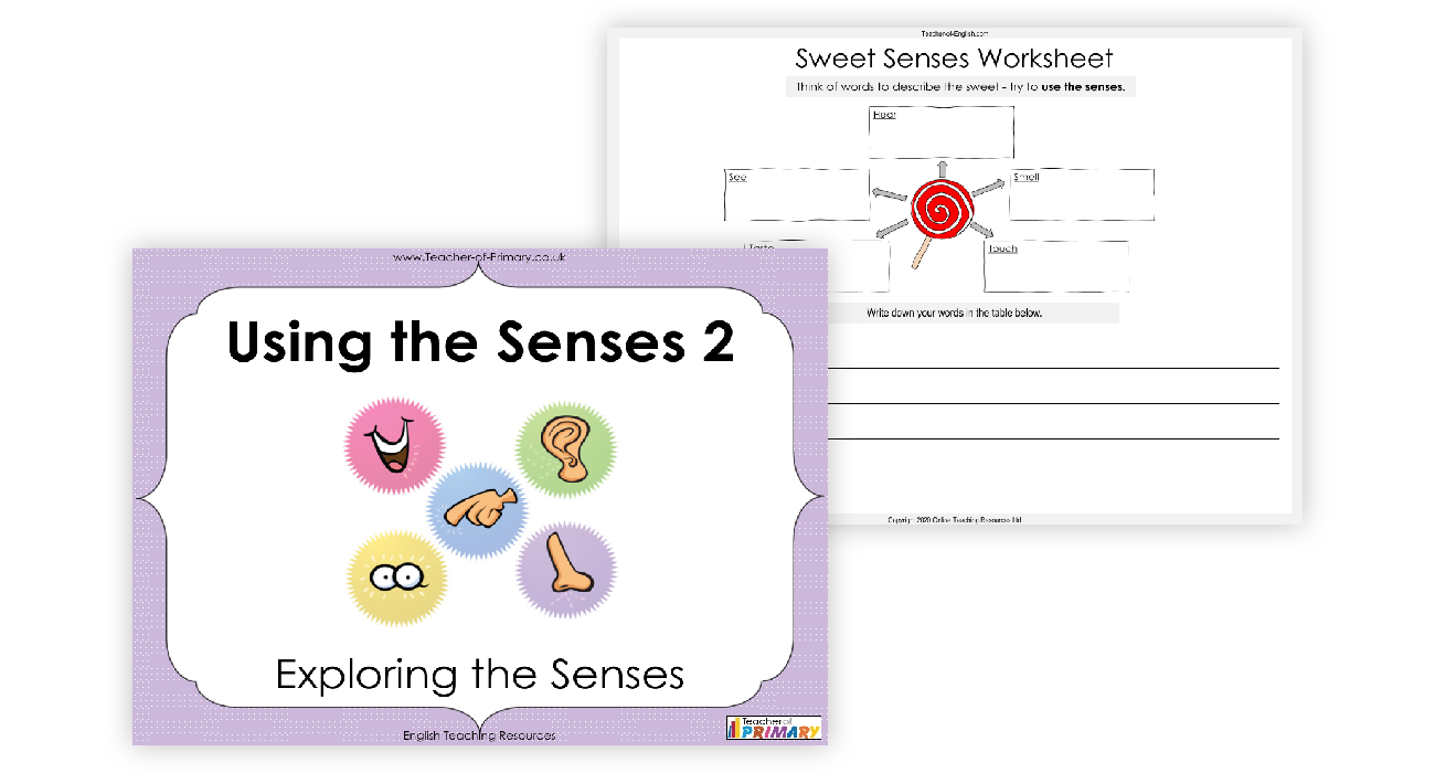 Using the Senses - Lesson 2: Exploring the Senses: Exploring the Senses