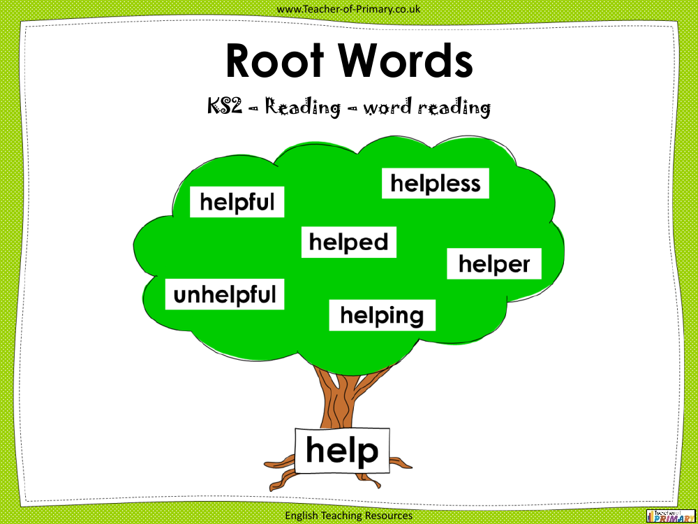 Root Words PowerPoint English Year 3