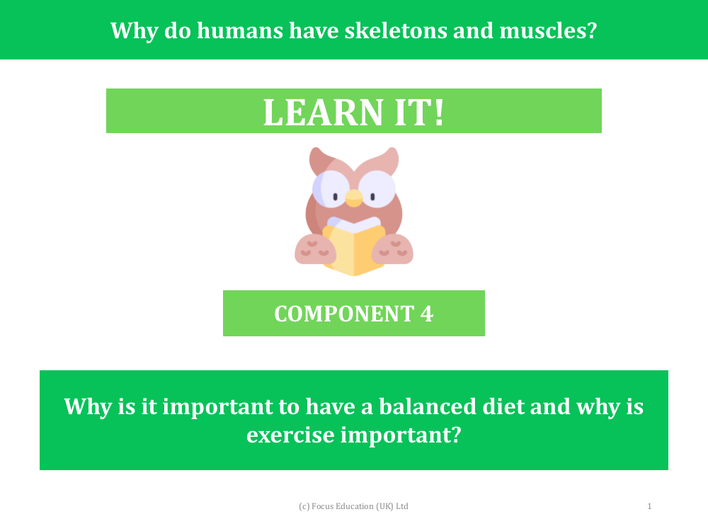 Why is it important to have a balanced diet and why is exercise important? - Presentation