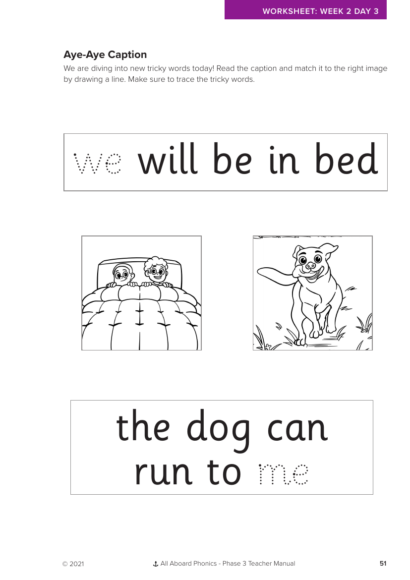 Week 2, lesson 3 Aye-Aye Caption Tricky words activity - Phonics Phase 3  - Worksheet