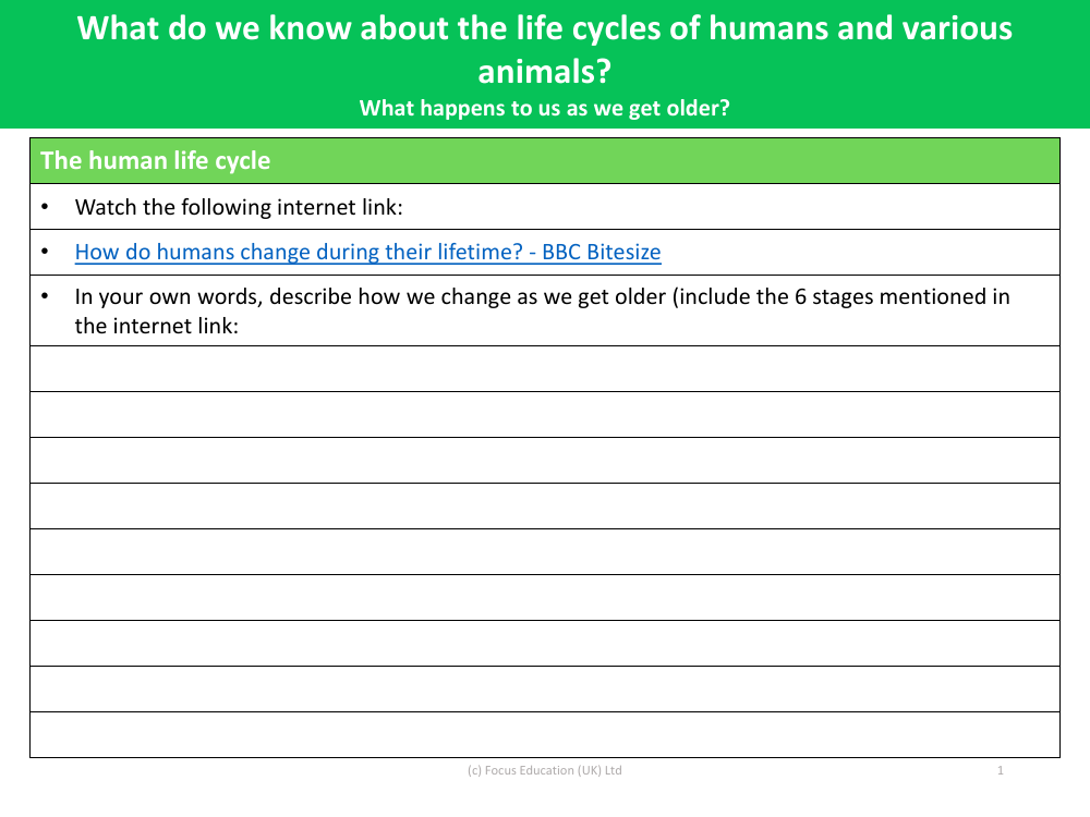 How we change as we get older? - Worksheet - Year 5