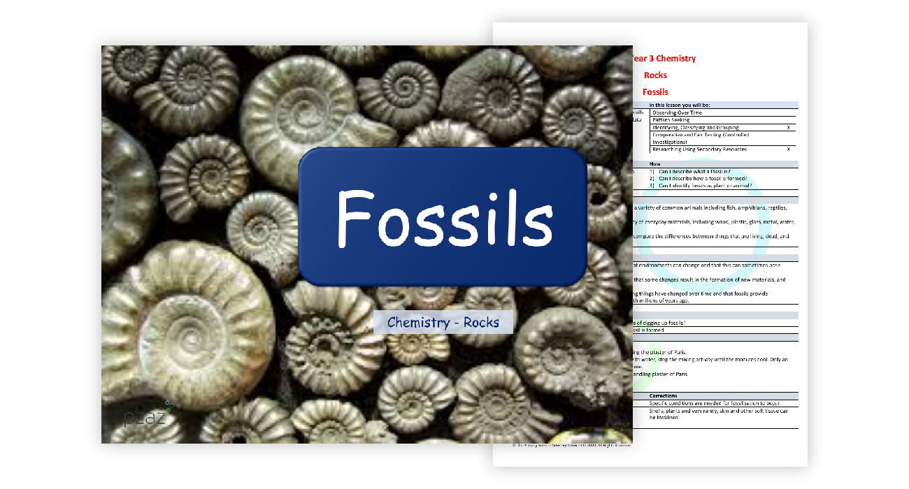 4. Fossils