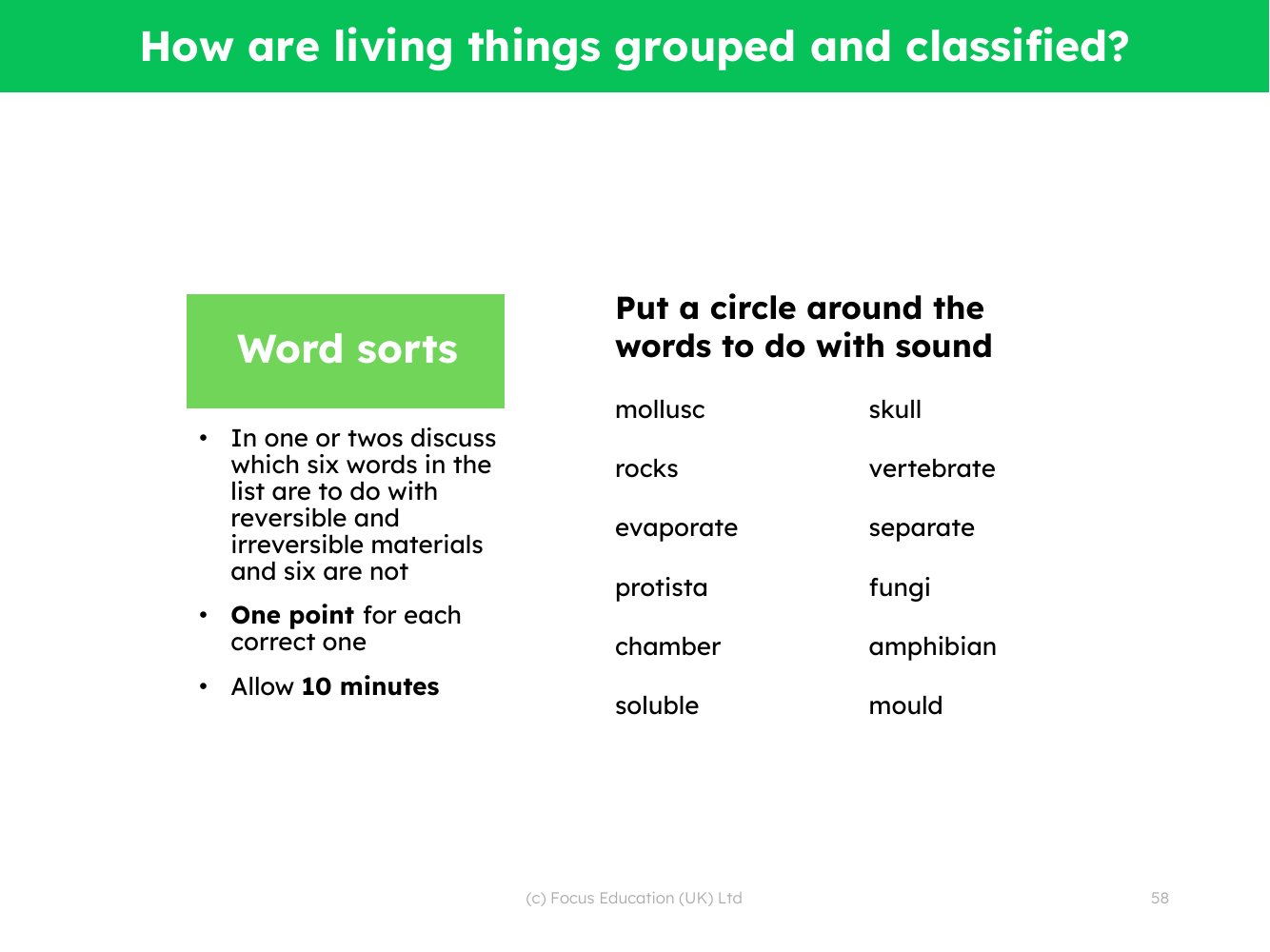 Word sorts - Classifying living things